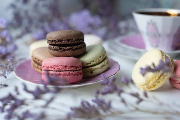 Close Colorful Macarons Cute Pink Plate Smoky Background Sweet Concept — Stock Photo, Image