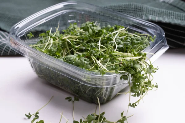 Close - up of appetizing microgreens in transparent plastic box on white background. Healthy food concept. Excellent image for healthy food banners and advertisements.