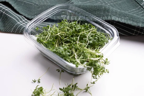 Close Appetizing Microgreens Transparent Plastic Box White Background Healthy Food — Stockfoto