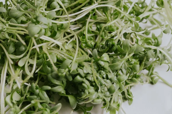 Close Van Smakelijke Microgreens Witte Achtergrond Gezond Voedsel Concept Uitstekend — Stockfoto