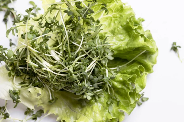 Close Van Smakelijke Microgreens Sla Witte Achtergrond Gezond Voedsel Concept — Stockfoto
