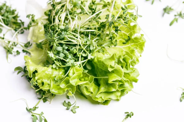 Закрытие Аппетитные Микрозелени Летучки Белом Фоне Концепция Здорового Питания Отличное — стоковое фото