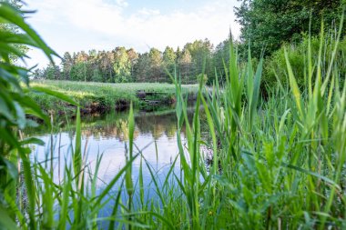Çayırlara, ağaçlara ve arka planda mavi gökyüzüne sahip yeşil çimlerle çevrili nehire bak
