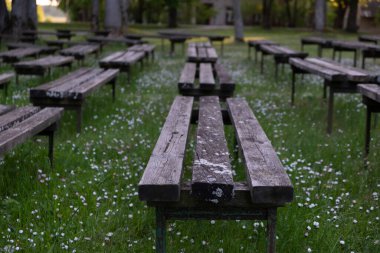 Çiçek açan çayırdaki eski ahşap sıralara bakın. Altın saatte açık hava sahnesi, manzaralı günbatımı