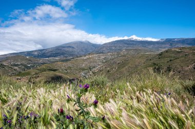 Kayalık dağların dibi kısmen karla kaplı arka planda açık mavi gökyüzü ve ön planda kısmen büyümüş kil uçurum boyunca boş asfalt yol..