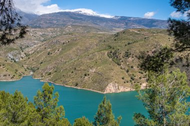 Yeşil gölün tepesinden manzaraya bak. Etrafı ağaçlarla ve çalılarla çevrili. Mavi gökyüzü ve güneşli yaz gününde beyaz bulutlar..