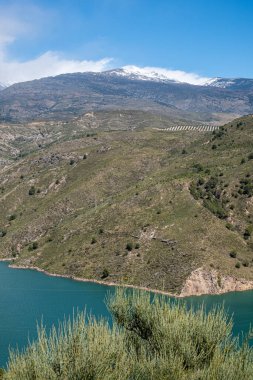Yeşil gölün tepesinden manzaraya bak. Etrafı ağaçlarla ve çalılarla çevrili. Mavi gökyüzü ve güneşli yaz gününde beyaz bulutlar..