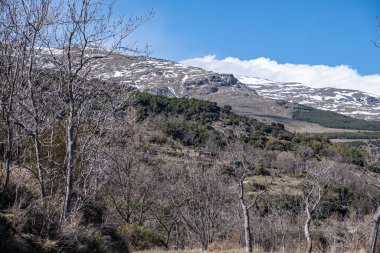 Açık mavi gökyüzü ile kısmen kaplı kayalık dağlara bakın ve arka planda bulutlar ve ön planda her zaman yeşil ağaçlar
