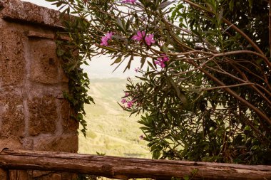 Arka planda mavi gökyüzü olan yeşil ormanlı güzel dağ geçidinin dış görüntüsü. Güzel pembe çiçekler, klasik filtre. 