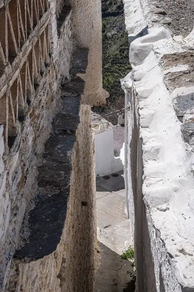 Une Pousse Impressionnante Depuis Sommet Entre Les Bâtiments Étroits Pierre — Photo