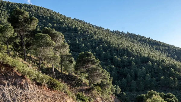 Kayalık Dağların Dibi Kısmen Karla Kaplı Arka Planda Açık Mavi — Stok fotoğraf