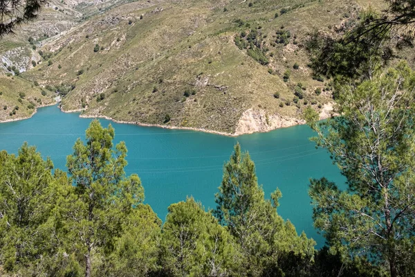 Yeşil Gölün Tepesinden Manzaraya Bak Etrafı Ağaçlarla Çalılarla Çevrili Mavi — Stok fotoğraf