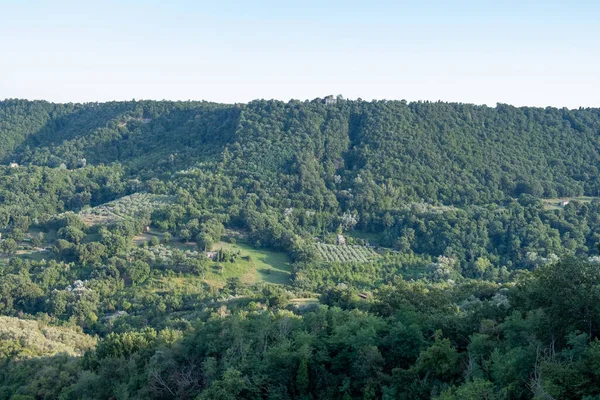 Arka Planda Mavi Gökyüzü Olan Yeşil Ormanlı Güzel Dağ Geçidinin — Stok fotoğraf