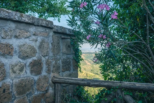 Vnější Záběr Zelené Hory Kouřovou Oblohou Pozadí Kovová Mříž Brána — Stock fotografie