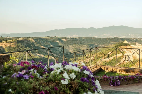 Außenaufnahme Eines Schönen Gartens Malerischer Berg Wunderschöne Terrasse Viele Töpfe — Stockfoto