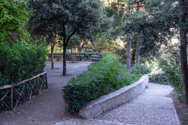 Güneşli bir yaz gününde parkta güzel patikalar, banklar ve yeşil bitkiler.