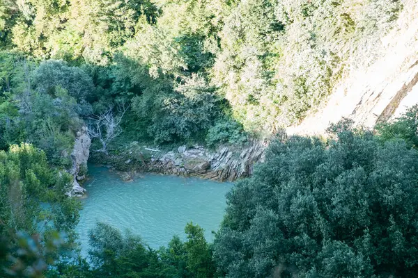 Ormandaki Dağlardaki Küçük Gölün Güzel Manzarası — Stok fotoğraf