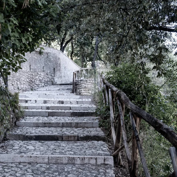 Hermoso Adoquín Sube Hermosas Escaleras Arriba Escaleras Rodeadas Árboles Vista —  Fotos de Stock