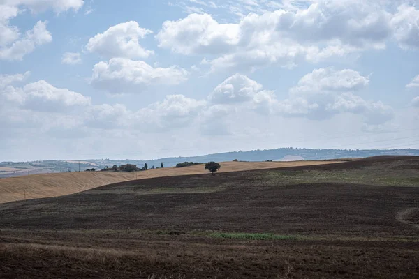 Blick Auf Malerisches Gemähtes Feld Auf Einem Hügel Mit Herrlichem — Stockfoto
