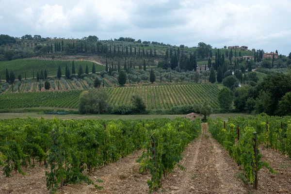 Schöne Landschaft Mit Weinbergen Auf Hügeln Der Toskana Mit Bewölktem — Stockfoto