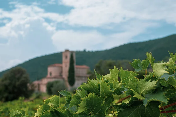 Abtei Von Sant Antimo Der Toskana Malerische Typisch Toskanische Landschaft — Stockfoto