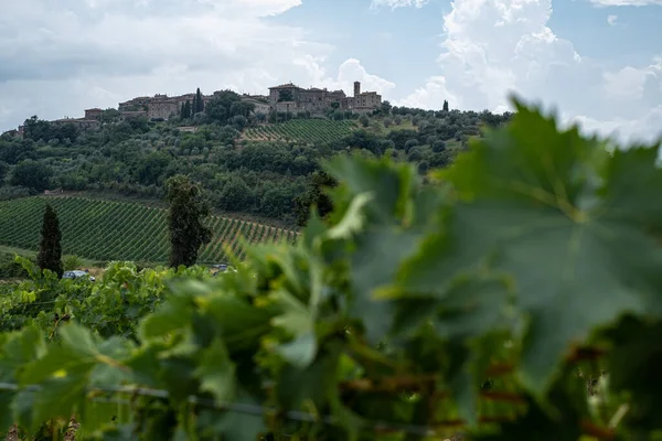 Schöne Landschaft Mit Weinbergen Auf Hügeln Der Toskana Mit Bewölktem — Stockfoto