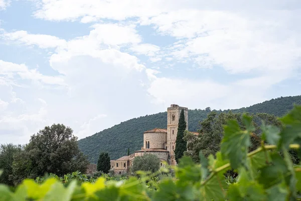 托斯卡纳 Tuscany 的Sant Antimo修道院 具有绿色柏树的图斯卡纳风景秀丽的风景 意大利美丽的风景 阳光灿烂的夏日 — 图库照片
