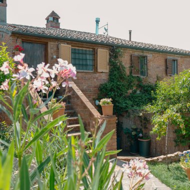 Işık taşı binasında resim gibi bir manzara. Bina duvarının yanında bir sürü çiçek ve antik taş duvar, güzel bahçedeki ev hedonik rahatlama ve keyif için bir yer.