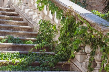 Etkileyici antik granit taş merdiven kısmen büyümüş dekoratif taş korkuluklar ve arka planda palmiye ağacı ve taş bina.