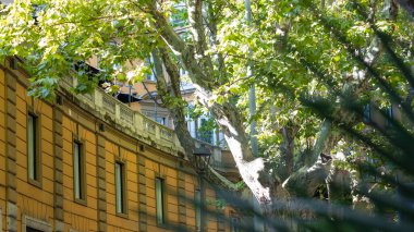 Ön planda bulanık gölgeler olan yaprak döken ağacın dalları arasından etkileyici bir terasotta taş yapısına bakın..