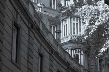 Önünde bulanık gölgeler olan yaprak döken ağacın dallarından etkileyici taş yapıya bakın. Siyah ve beyaz