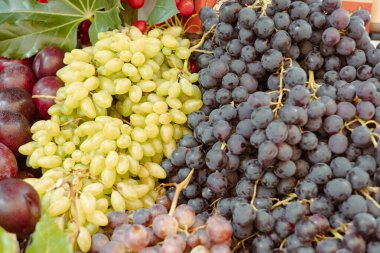 Olgun tropikal meyvelerin güzel renkli bir çeşidi, meyve arkaplanı
