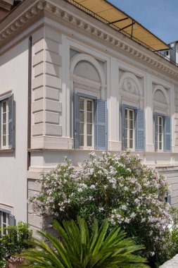 Etkileyici yenilenmiş, mavi pencereli ve ön planda yeşil çalıları olan eski, beyaz bir binanın köşesi.