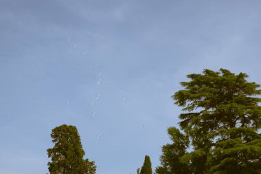 Yeşil ağaçların manzarası, açık mavi gökyüzü ve arka planda bulutlar, ön planda uçan sabun köpükleri ve güneşli bir yaz gününde klasik latern..