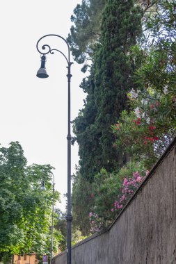 Arka planda yeşil ağaçlar ve mavi gökyüzü olan antika siyah fenerin güzel manzarası ve güneşli bir yaz gününde ön planda renkli çalıların açtığı taş duvar..