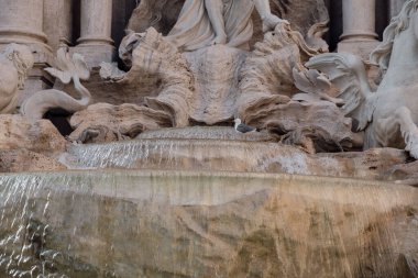 Dünyanın en ünlü simgelerinden biri olan Trevi Çeşmesi Roma 'nın parlak güneş ışığında ön planda su havzası ile çevrilidir..