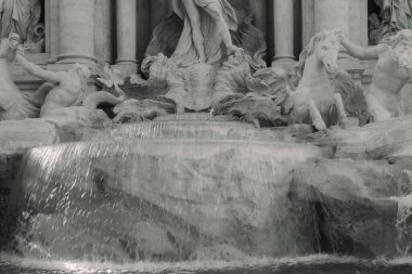 Dünyanın en ünlü simgelerinden biri olan Trevi Çeşmesi 'nin Roma' daki parlak güneş ışığında ön planda su havzası var. Siyah ve beyaz