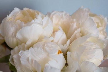 Büyüleyici bir buket güzel beyaz şakayık, düğün çiçeği, düğün arkaplanı, çiçek arkaplanı, alıntı, göz alıcı buket