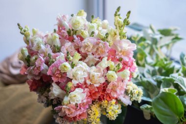 Pembe, turuncu, beyaz, sarı antirinyumlu çok şirin bir çiçek buketi pencere kenarında tırmanan yeşil bir saksı, bej, beyaz arka plan.