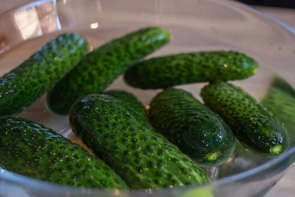 Pepinos Marinados Escabeche Hechos Mano Con Eneldo Ajo Especias Tazón — Foto de Stock