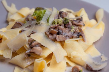 Mantarlı lezzetli makarna, brokoli ve krem soslu parmesan peyniri. yiyecek arka planı.