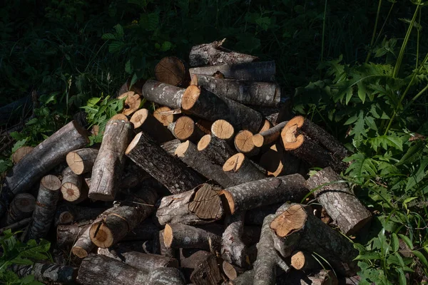 Haufen Gesägtes Brennholz Auf Grünem Gras Und Bäumen Einem Sonnigen — Stockfoto