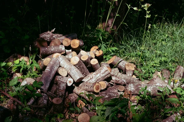 Stapel Gezaagd Brandhout Een Achtergrond Van Groen Gras Bomen Een — Stockfoto