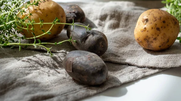 Potatoes of different types and colors on a gray linen towel and a sprig of green thyme. Food advertisement, kitchen poster, space for your text.