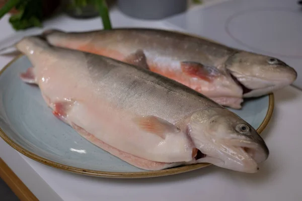 Twee Vers Gereinigde Ijsvis Een Blauwe Plaat Een Witte Tafel — Stockfoto