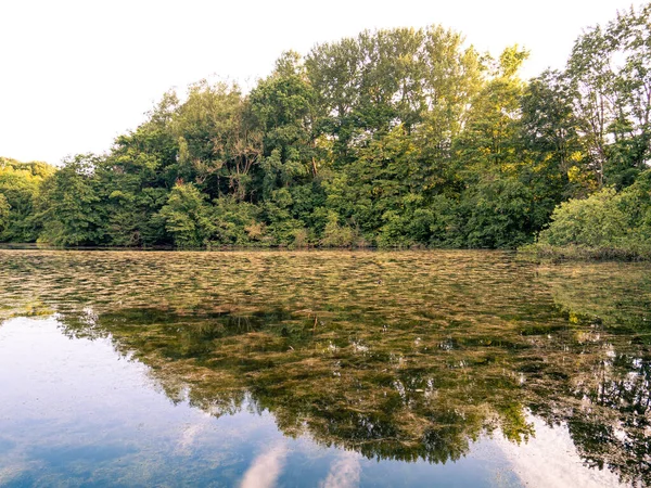 Symmetrical reflection of trees on the water surface.