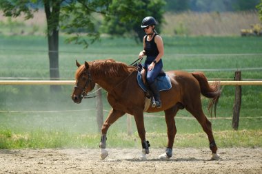 The girl with black helmet riding a sorrel stud at a riding school
