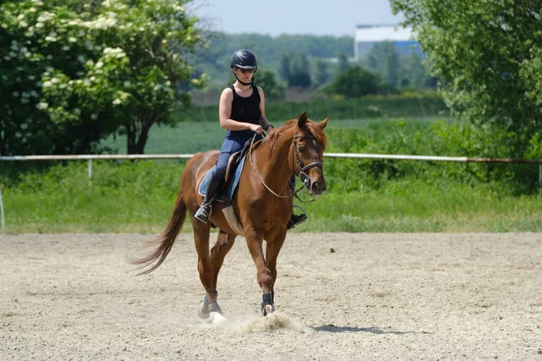 Girl Helmet Riding Horse Riding School — ストック写真