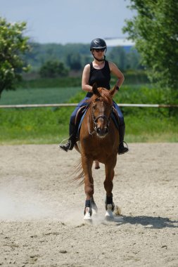 The girl with black helmet riding a sorrel  horse at a riding school