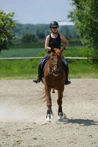 Girl Black Helmet Riding Sorrel Horse Riding School — ストック写真